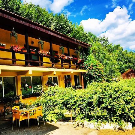 Bed and Breakfast House In The Woods Решица Экстерьер фото