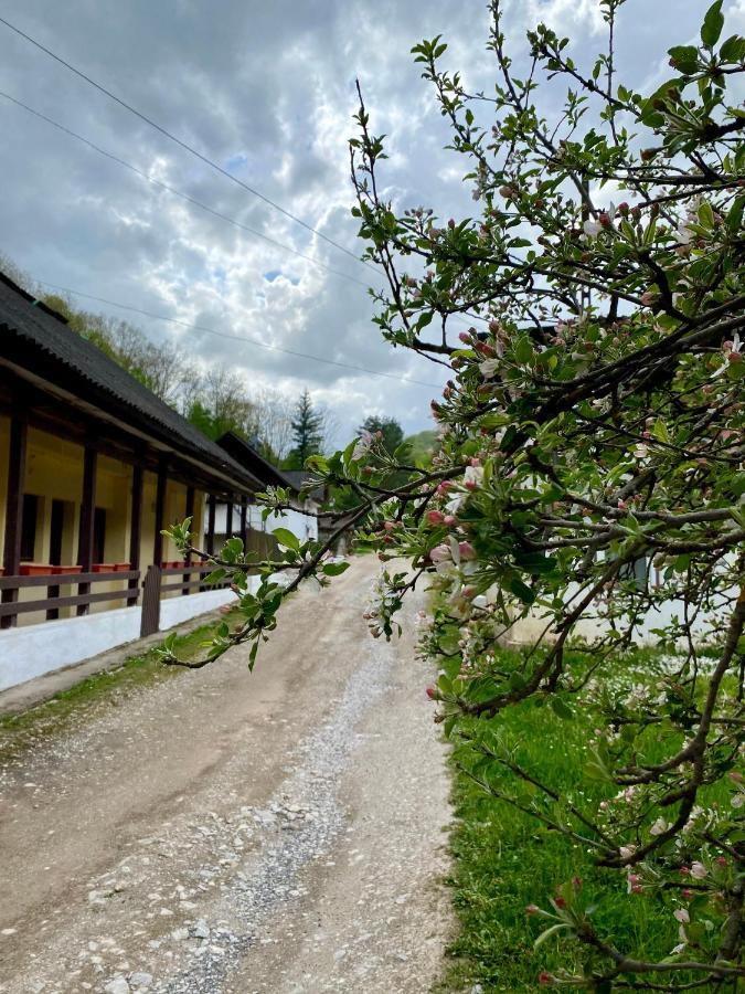 Bed and Breakfast House In The Woods Решица Экстерьер фото