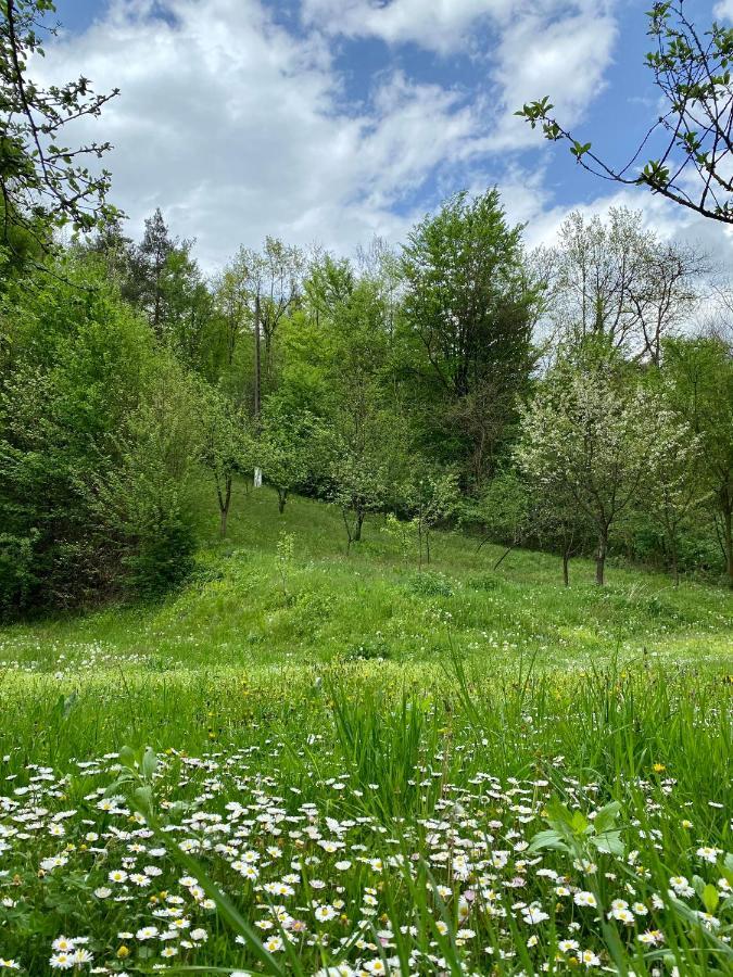 Bed and Breakfast House In The Woods Решица Экстерьер фото