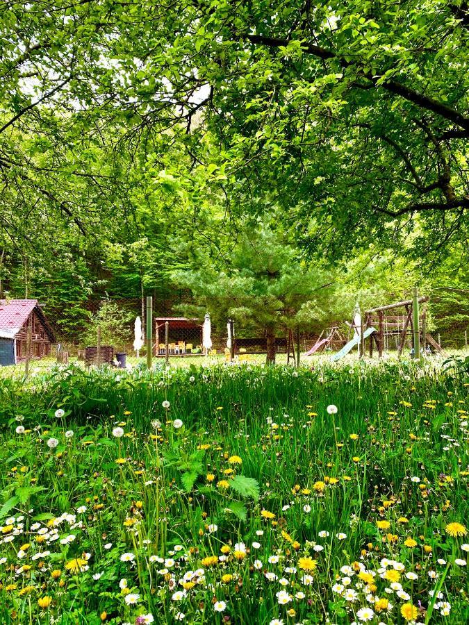 Bed and Breakfast House In The Woods Решица Экстерьер фото