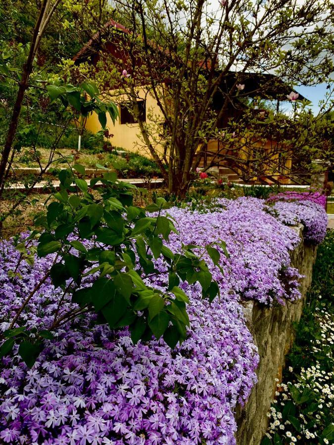 Bed and Breakfast House In The Woods Решица Экстерьер фото