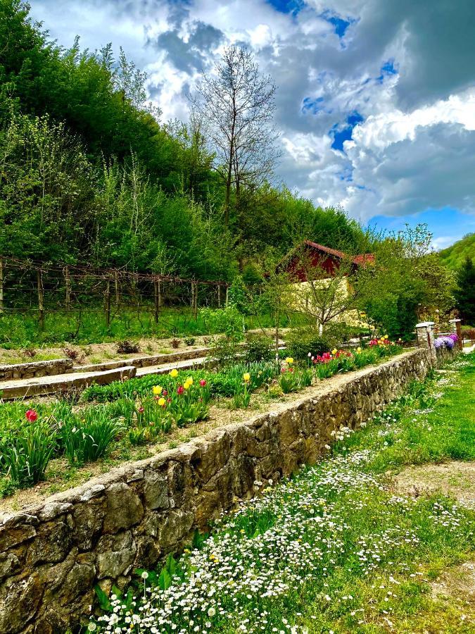 Bed and Breakfast House In The Woods Решица Экстерьер фото