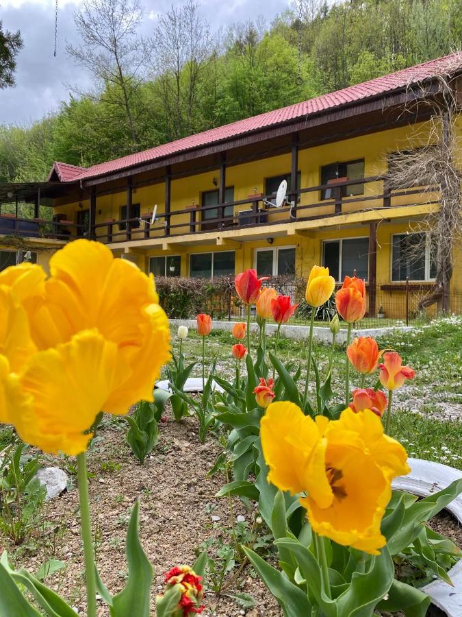 Bed and Breakfast House In The Woods Решица Экстерьер фото
