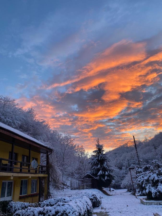 Bed and Breakfast House In The Woods Решица Экстерьер фото