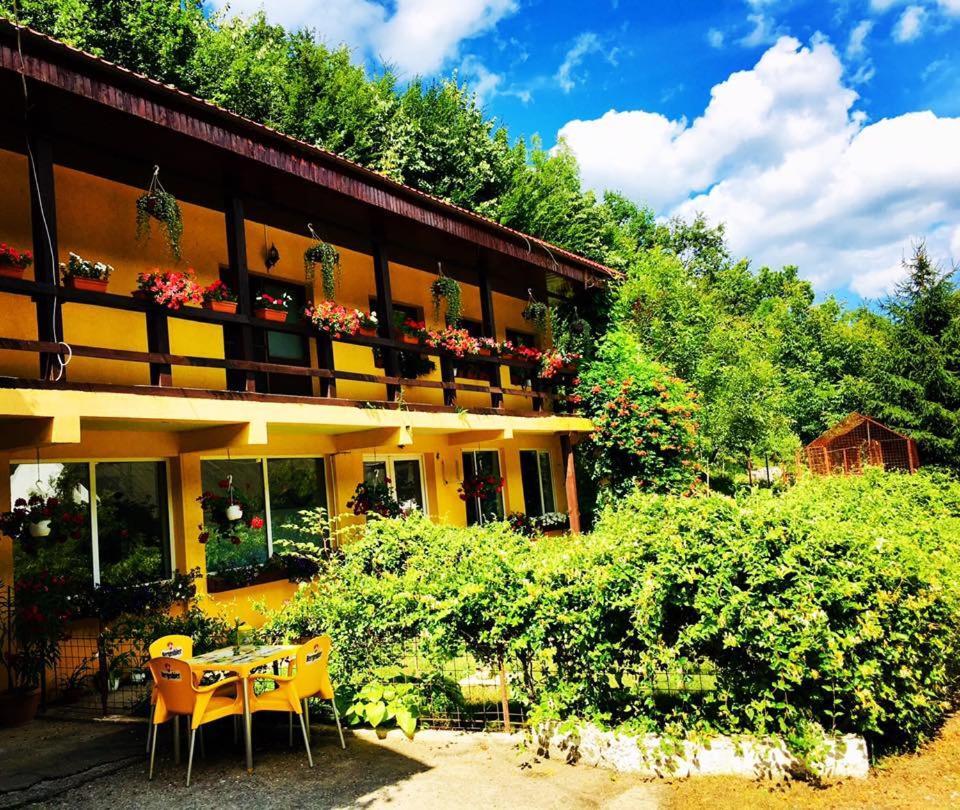 Bed and Breakfast House In The Woods Решица Экстерьер фото