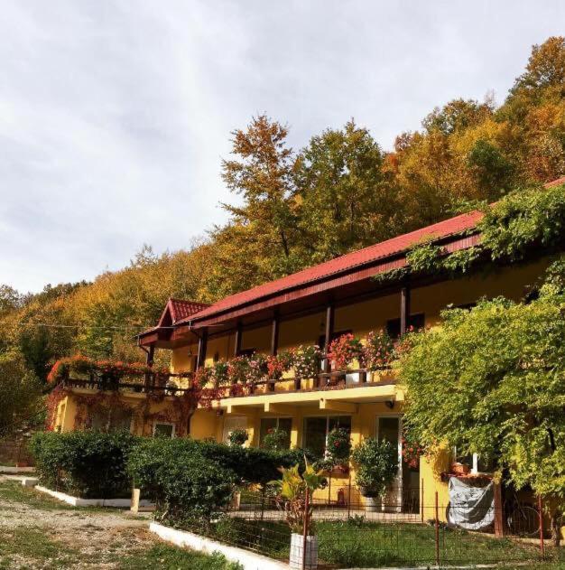 Bed and Breakfast House In The Woods Решица Экстерьер фото