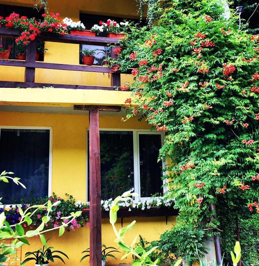 Bed and Breakfast House In The Woods Решица Экстерьер фото