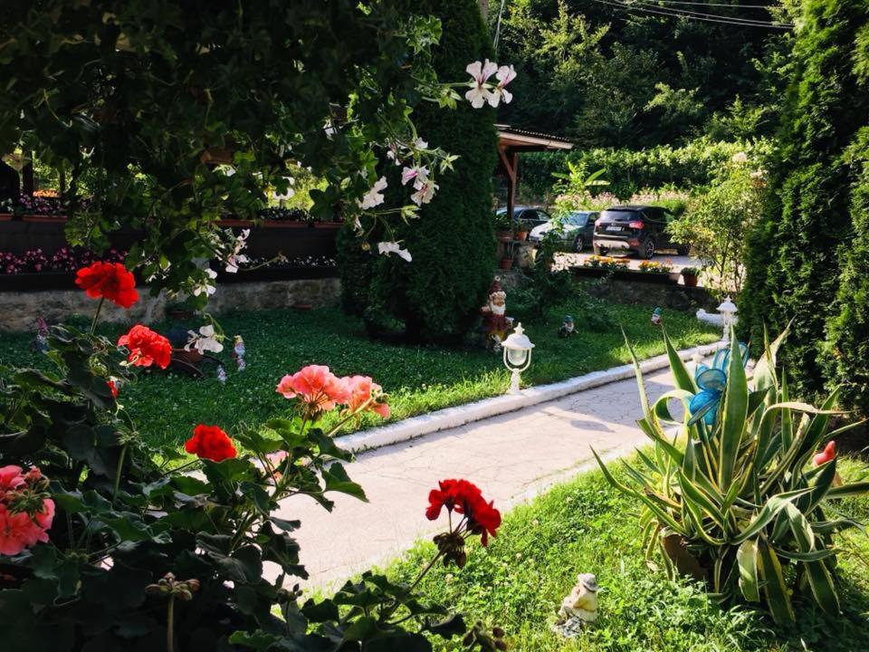 Bed and Breakfast House In The Woods Решица Экстерьер фото