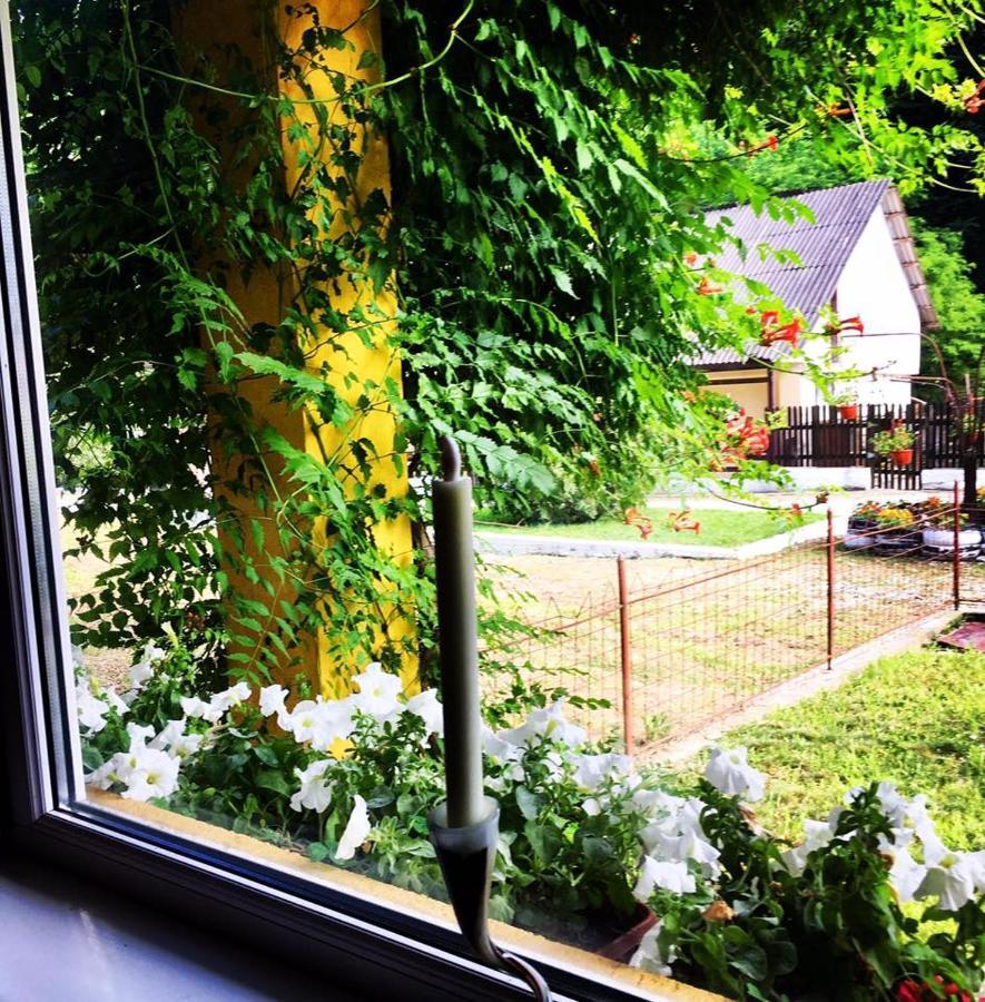 Bed and Breakfast House In The Woods Решица Экстерьер фото