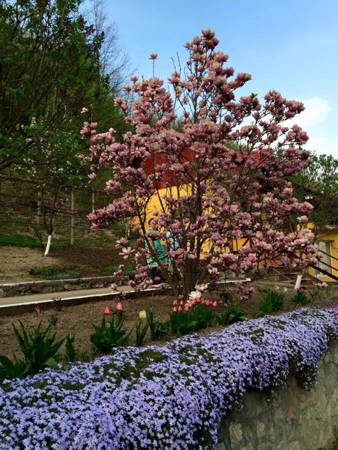 Bed and Breakfast House In The Woods Решица Экстерьер фото