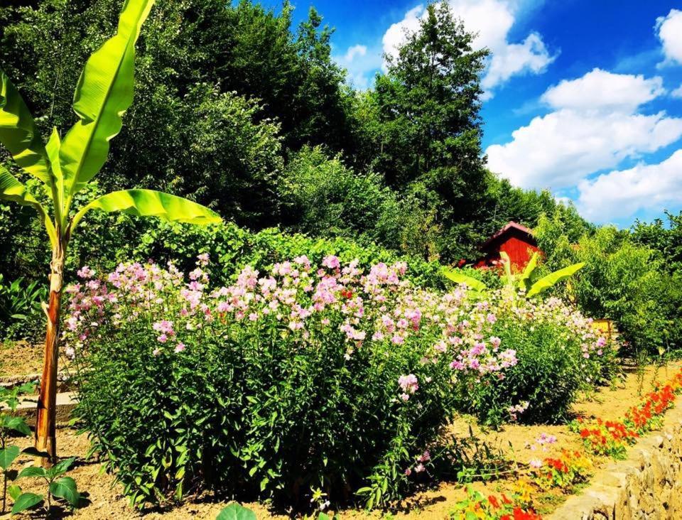 Bed and Breakfast House In The Woods Решица Экстерьер фото