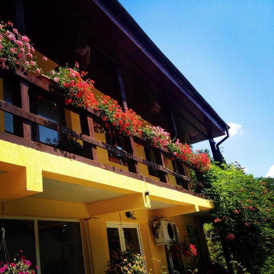 Bed and Breakfast House In The Woods Решица Экстерьер фото