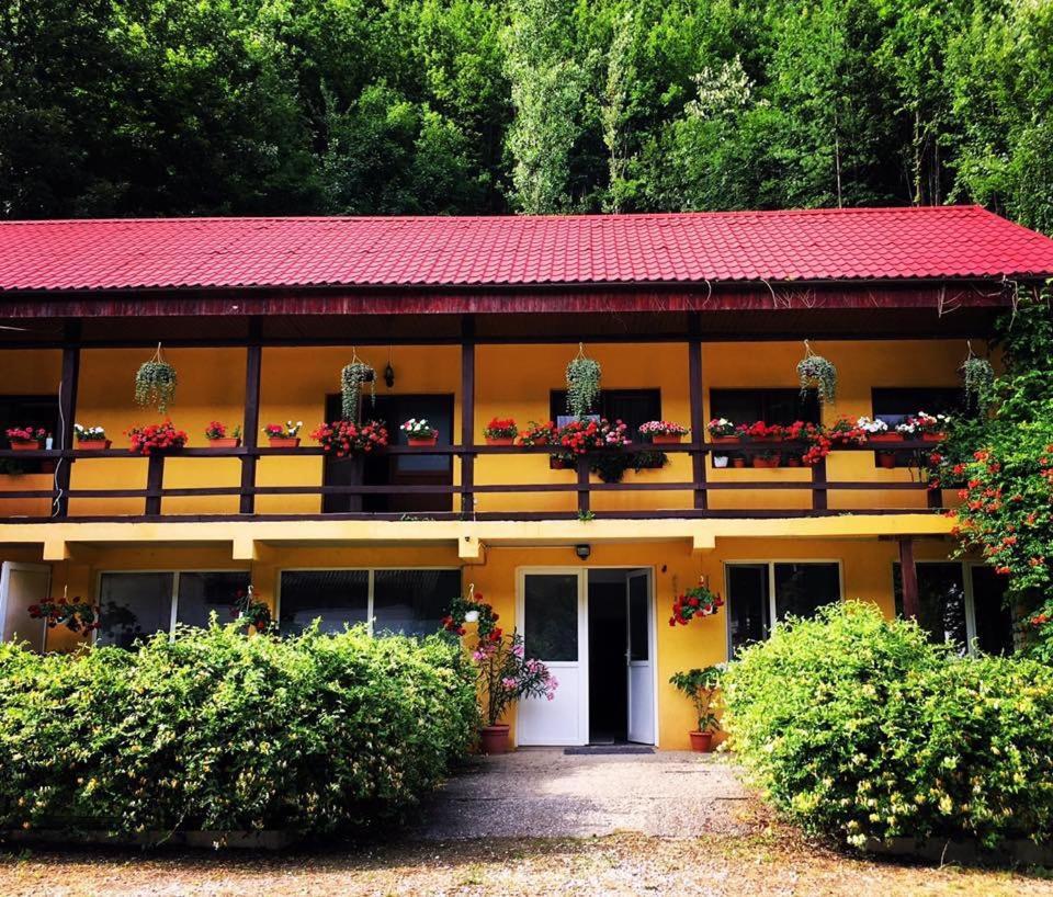 Bed and Breakfast House In The Woods Решица Экстерьер фото